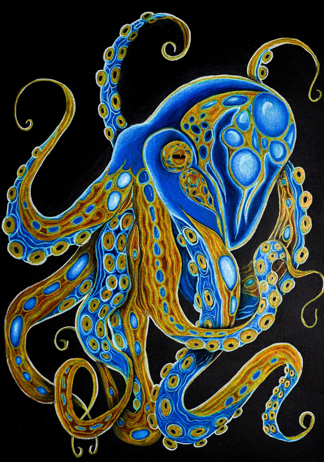 Tintenfisch Gold - Original