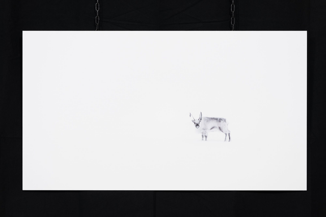 Photo &quot;Perdu&quot; en grand format et très haute qualité