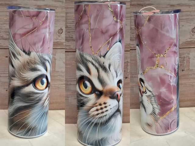 Gourde canette Maine coon