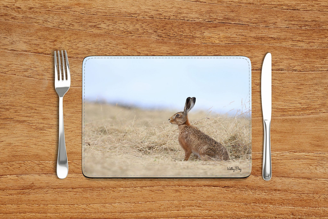 “Henry Hare” Placemat  