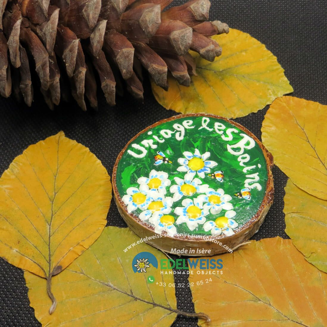 Uriage les Bains - fleurs avec des bourdons 