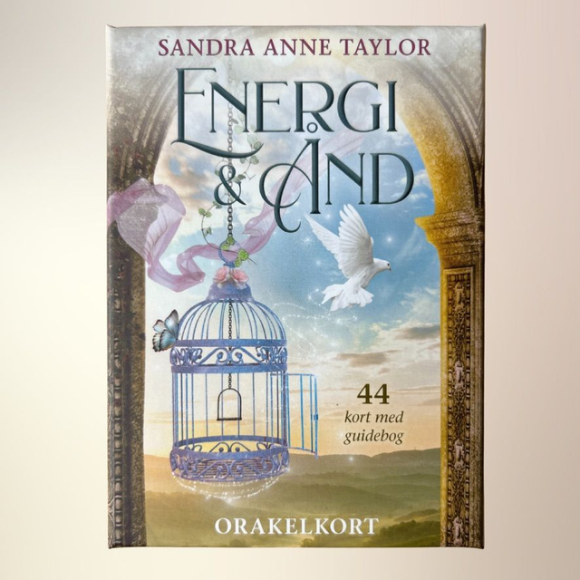 Sandra Anne Taylor - Energi & ånd (dansk)
