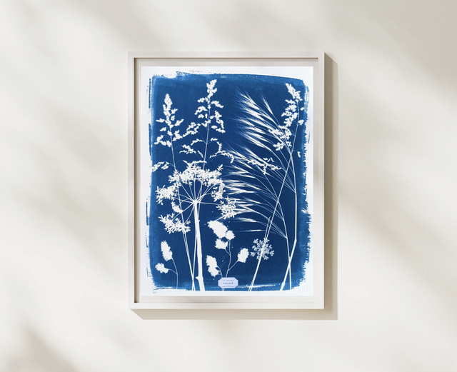 Cyanotype Poaceae (30x40 cm) - n°345 - sans cadre