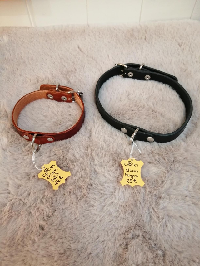 Collier pour chien cuir