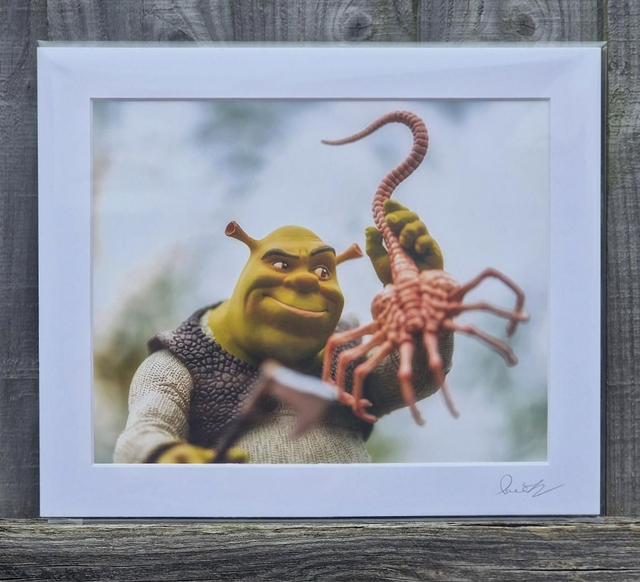Shrek &amp; Facehugger