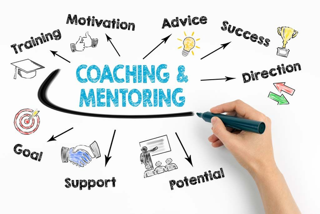 Business Coaching &amp; Mentoring in Detailing System