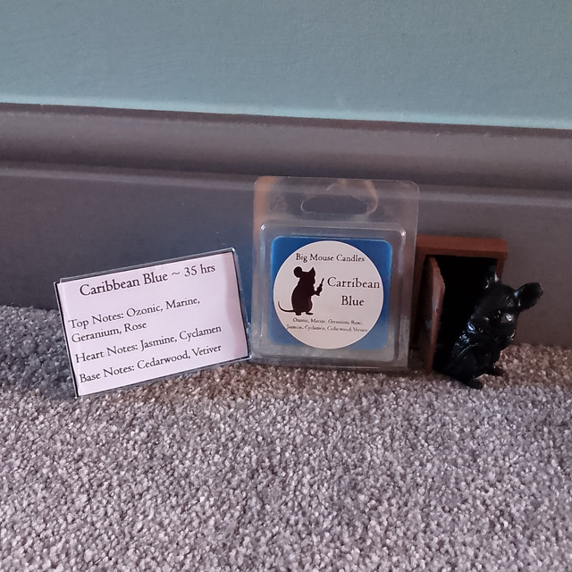 Caribbean Blue melt - 45g