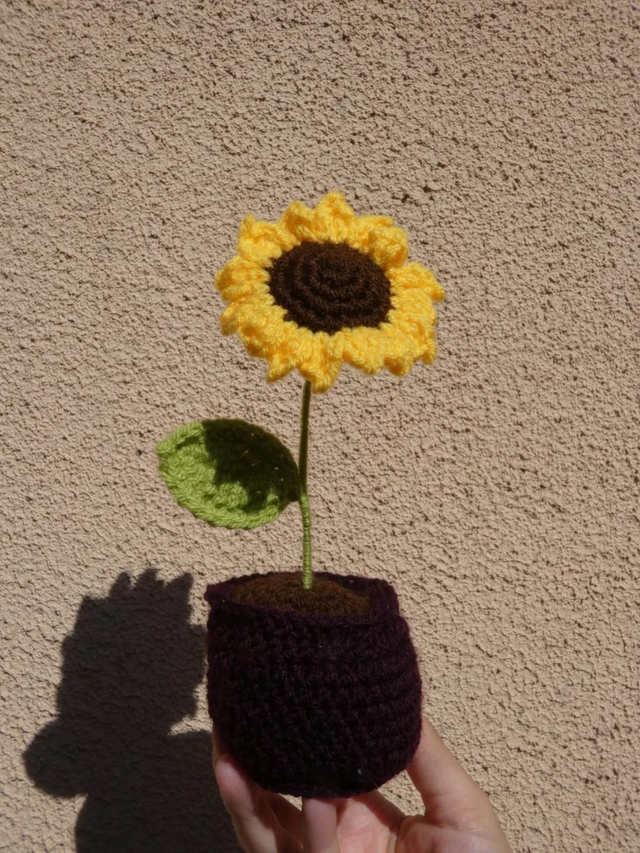 Pot de fleur tournesol 