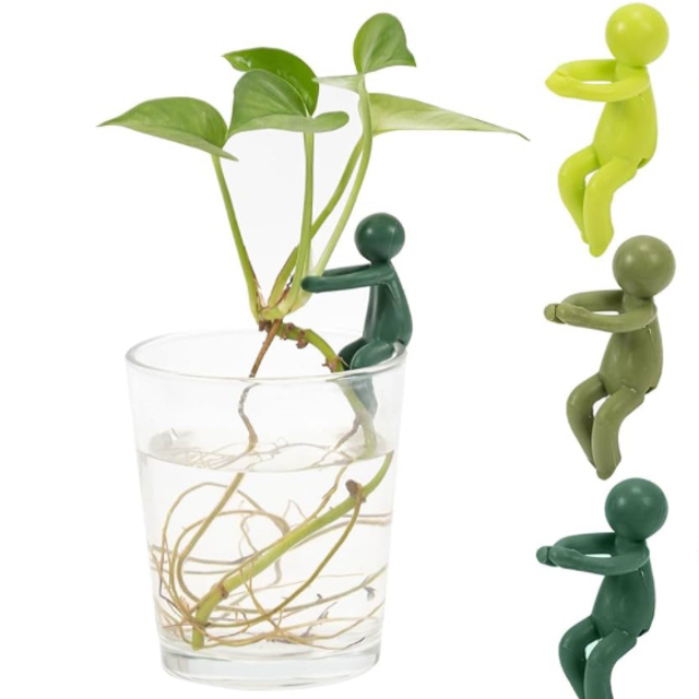 Plant Propagation Buddy - Propagation Station Plant Cutting Holder 