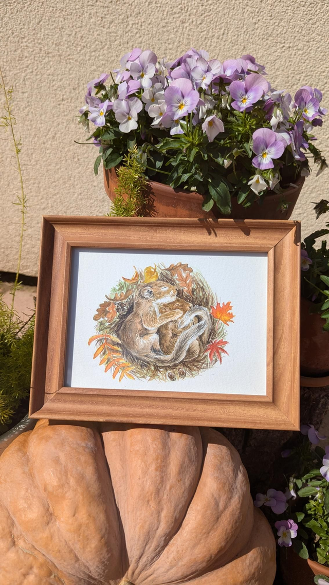 Aquarelle encadrée bébés écureuils