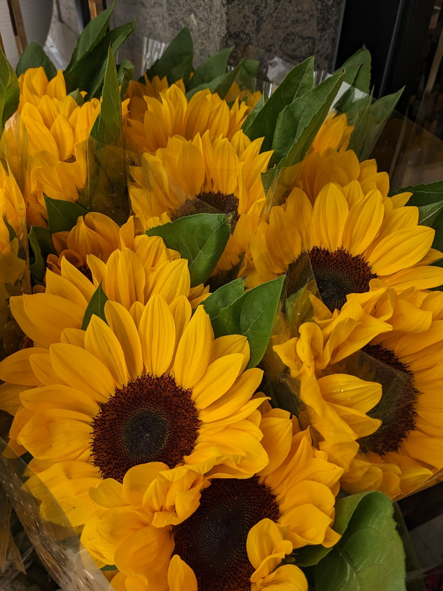 Girasoli extra con numero a scelta 