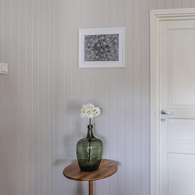 Løvetannens eleganse – Makrofotografi i sort-hvitt