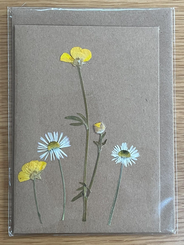 Buttercups and Daisies Greeting Card 02