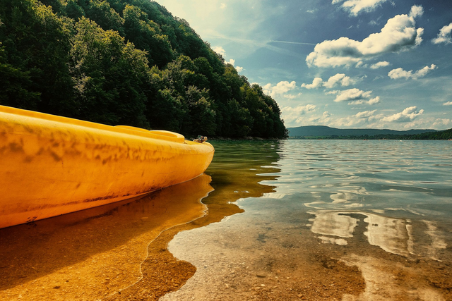 Kayak