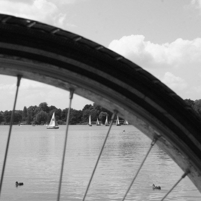 Aasee durch die Speichen