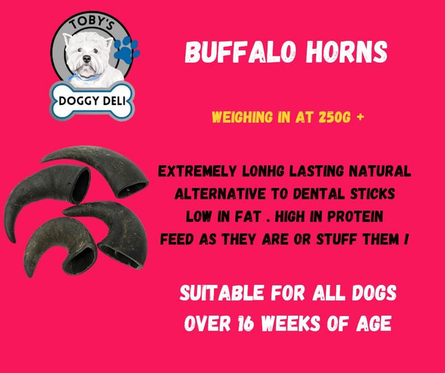 Buffalo Horns