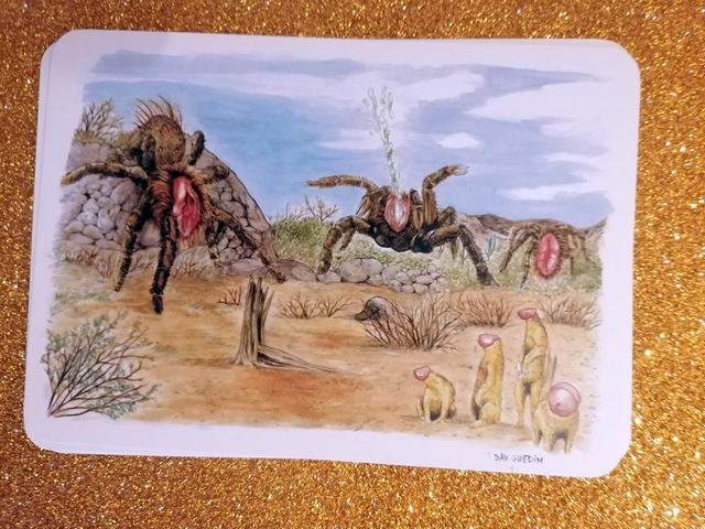 Tarenvulves contre Suribites