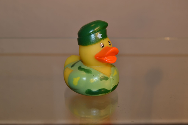 canard militaire