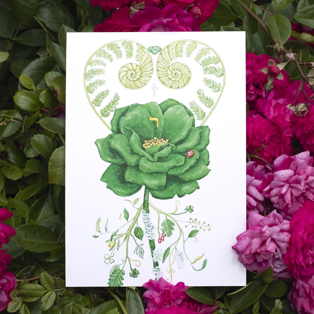 Rose Émeraude A5