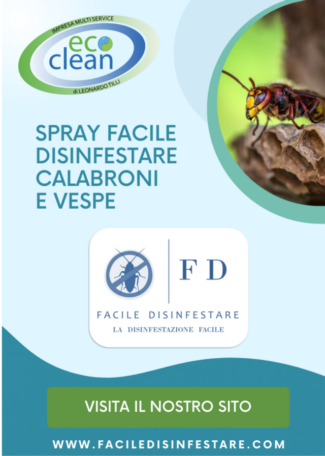 🛡️ Spray Facile – Disinfestare per Vespe e Calabroni 🐝⚡