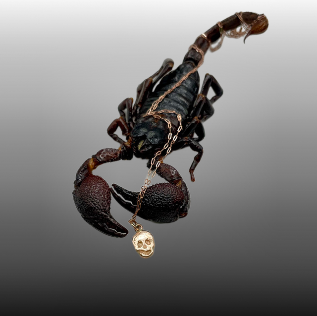 Gold Skull Charm Necklace