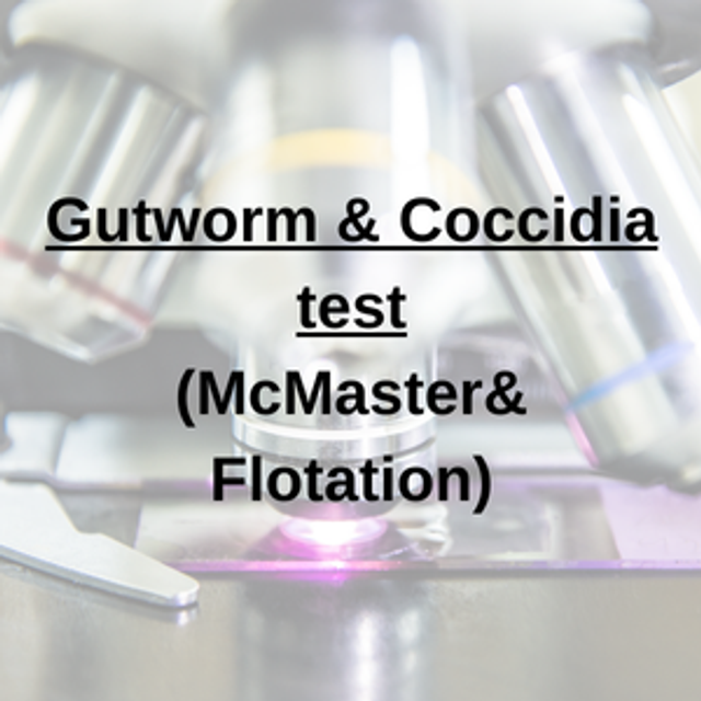 Gutworm &amp; Coccidia Test
