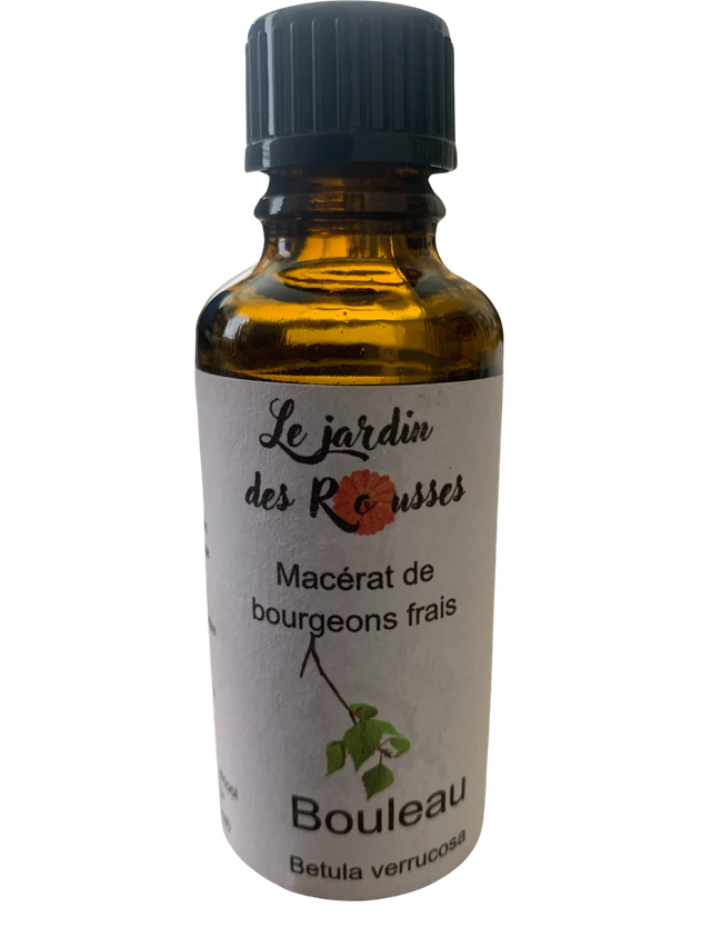 BOULEAU VERRUQUEUX - Macérât glycériné de bourgeons Flacon de 30 ml 