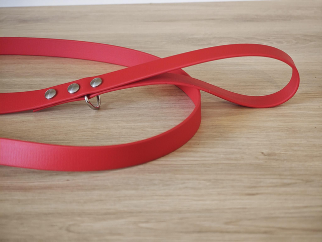 Laisse 19mm biothane de 1,25m de longueur !