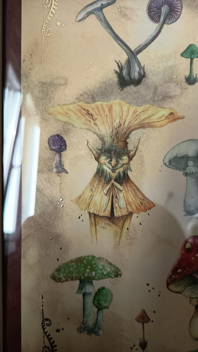 Grand cadre - Trolls Champignons 🍄