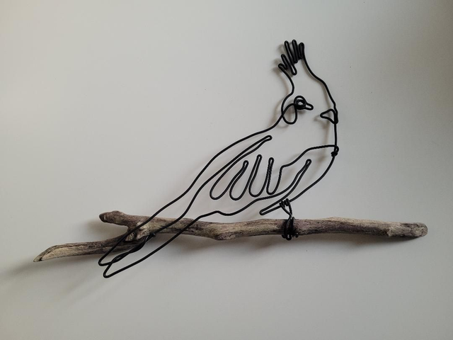 O11 Oiseau crête sur bois -