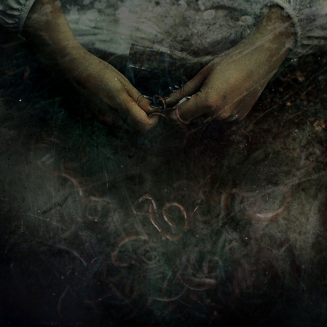 ELSEETOSS Elseetoss CD Digipak