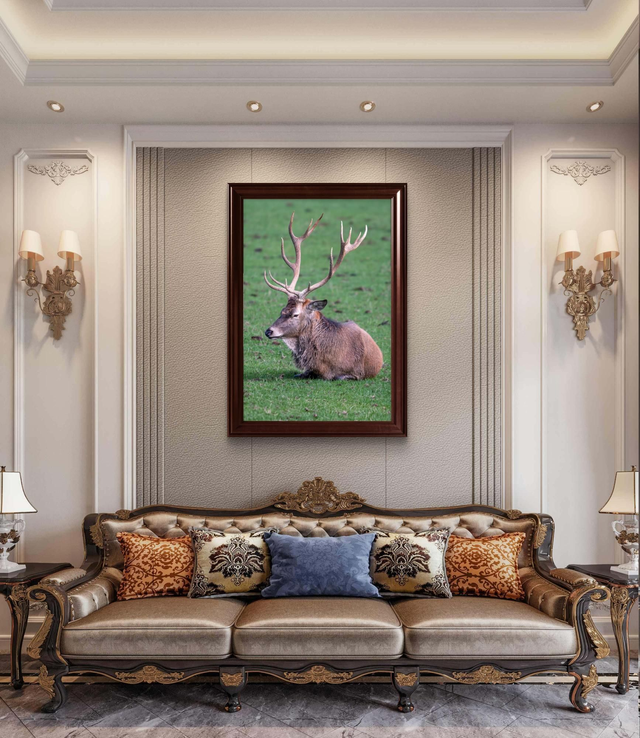 Stag Laying Down - Print Only 