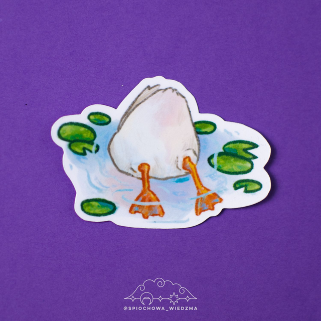 Kacza dupka | ZWIERZĘTA