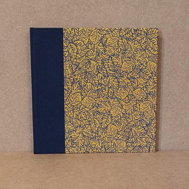 Album photo /Sketchbook 