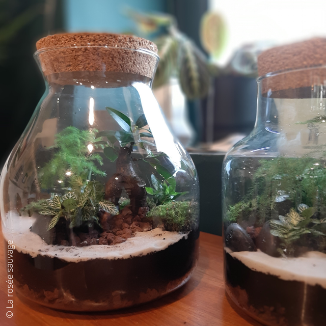 Atelier TERRARIUM