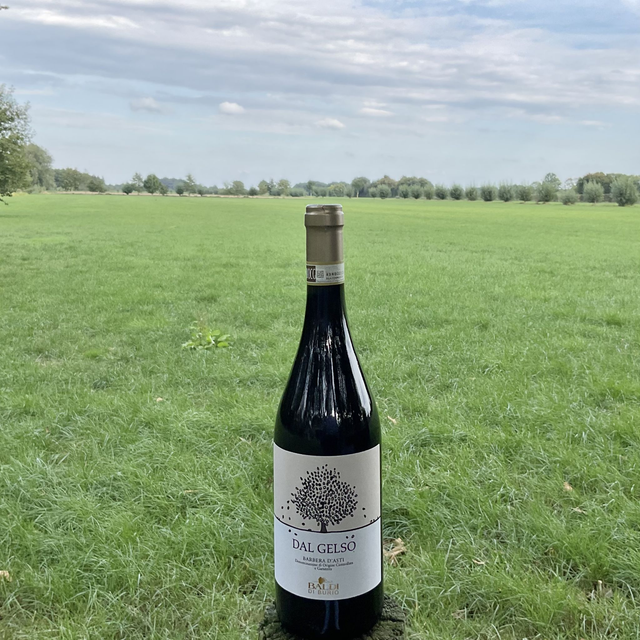 Barbera d'Asti 2024 "Dal Gelso"