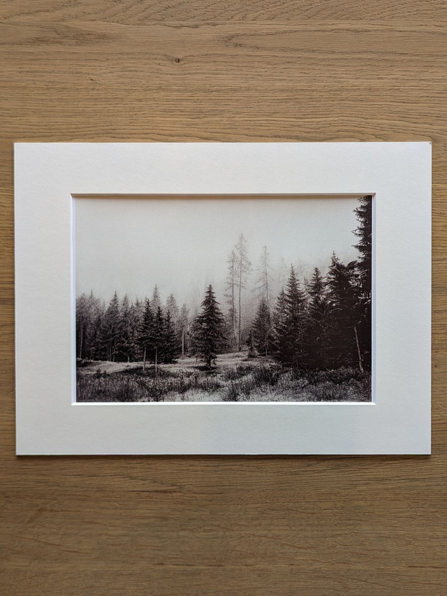 Artprint "Wald"