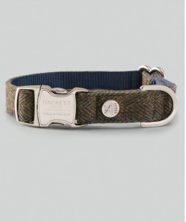 Hackett x Hugo Hudson Collar - Green