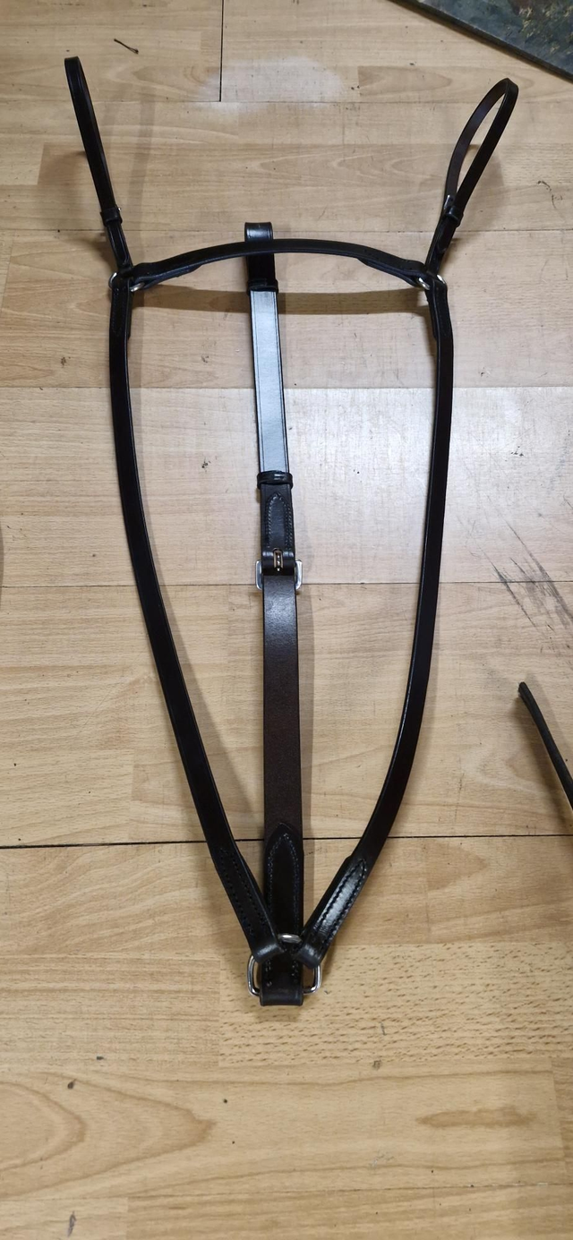 Purcell's Hunting Brestplate with Martingale att