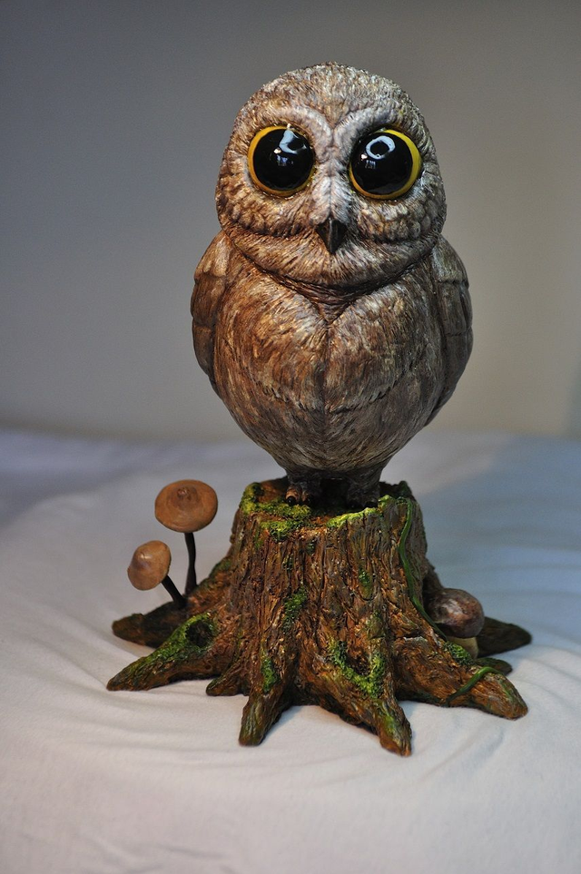 - Cute little owl -