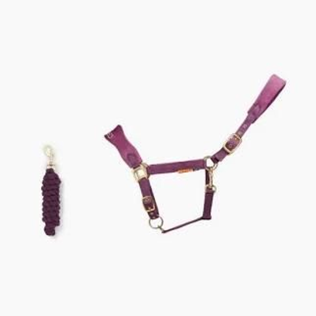 Cameo Suede Padded Headcollar