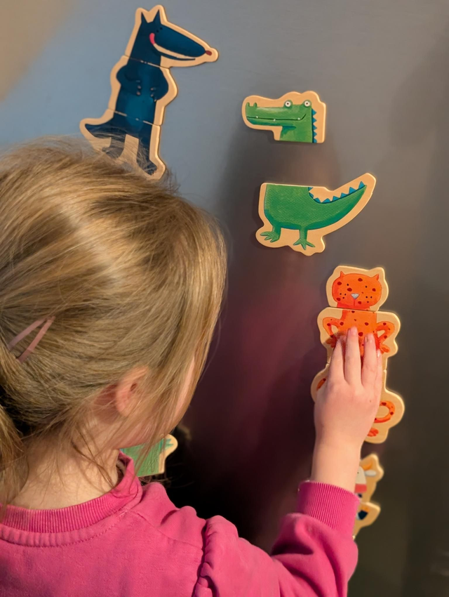 Jeu magnétique Djeco - Prix neuf : 15.99 euros