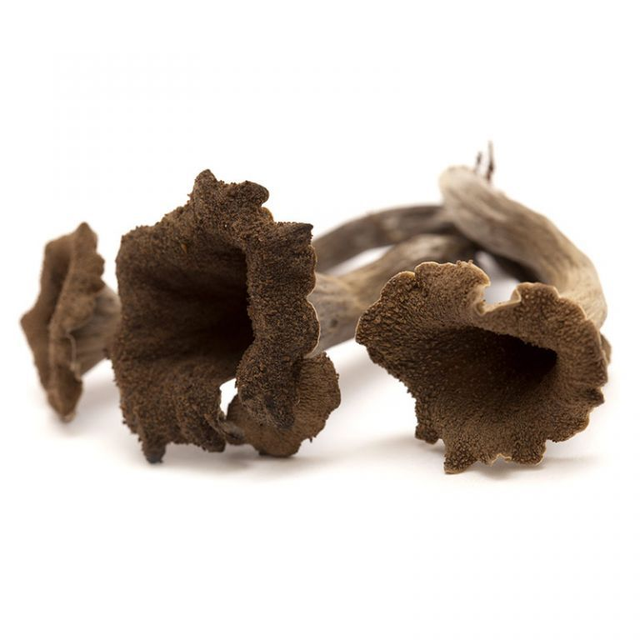 Trompettes de la mort Barquette