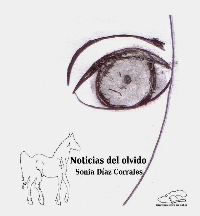Noticias del olvido - Sonia Díaz Corrales