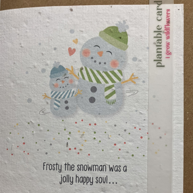 Seed Card Christmas Snowmen 