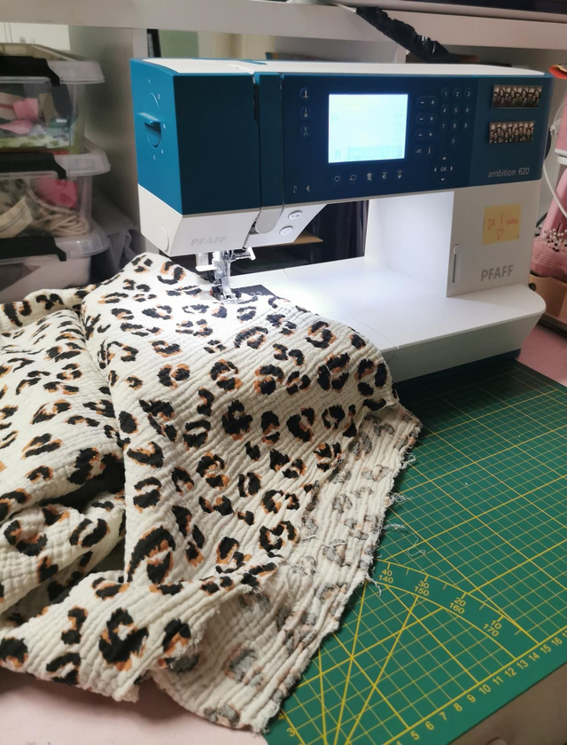 1 cours adulte collectif /2h30