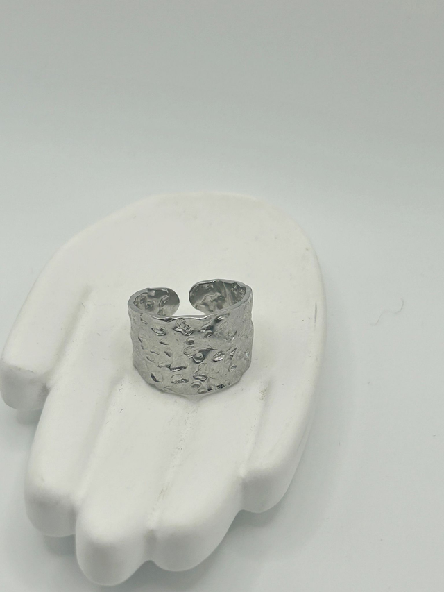 Stainless Steel Ring (SSR19J)