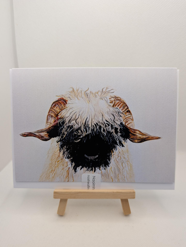 Vallas Black nose card