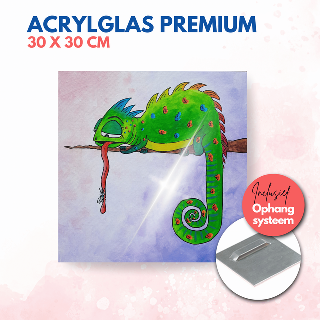 Kameleon en vlieg | Acrylglas premium