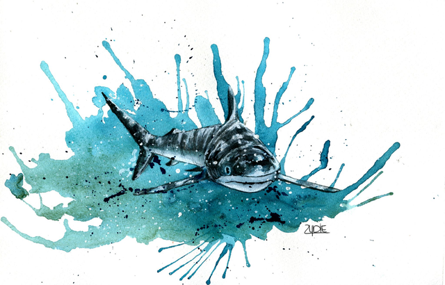 FineArt-Print - Spendenbild: Riffhai